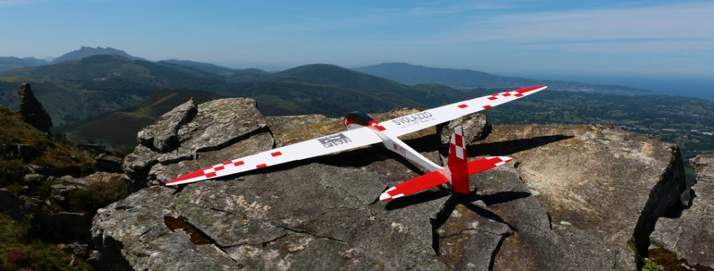 Aerobatic best sale rc glider